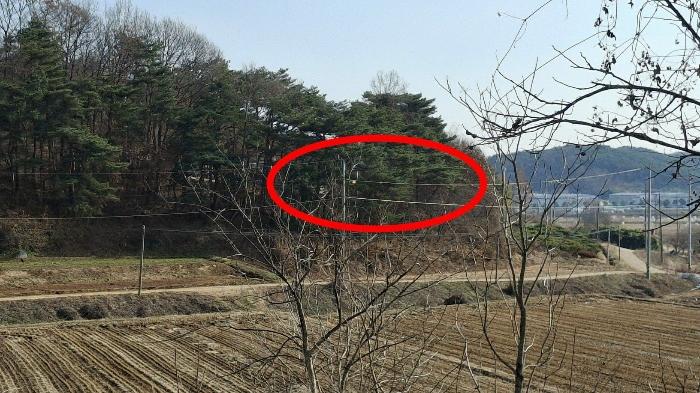 충청남도 당진시 고대면 장항리 739-10 임야 경매 사진 1