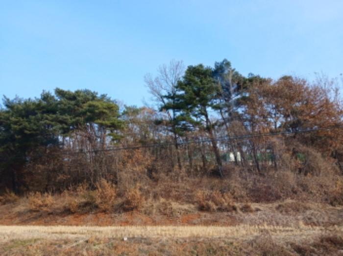 충청남도 당진시 고대면 장항리 739-10 임야 경매 사진 10