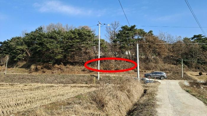 충청남도 당진시 고대면 장항리 739-10 임야 경매 사진 3