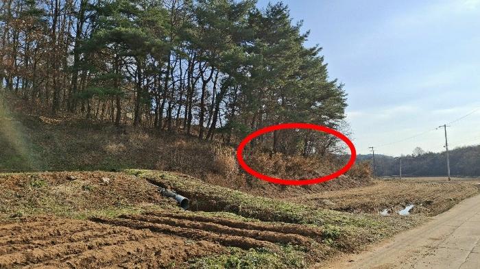 충청남도 당진시 고대면 장항리 739-10 임야 경매 사진 4