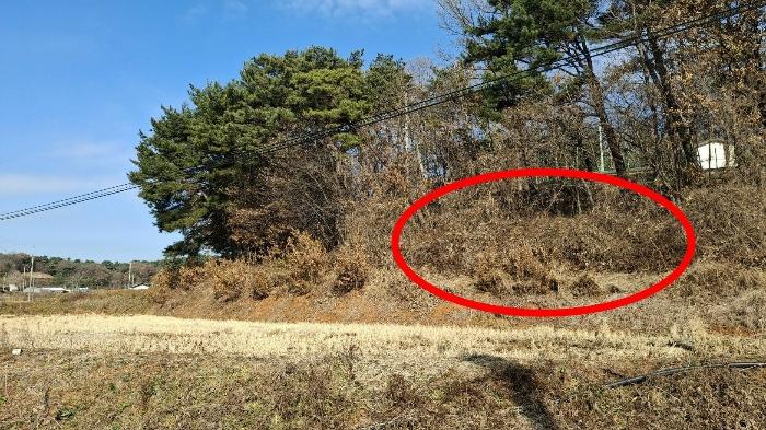 충청남도 당진시 고대면 장항리 739-10 임야 경매 사진 5