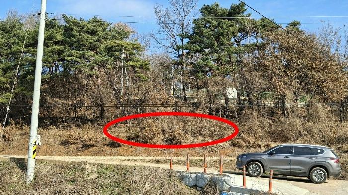충청남도 당진시 고대면 장항리 739-10 임야 경매 사진 7
