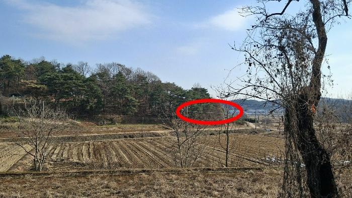 충청남도 당진시 고대면 장항리 739-10 임야 경매 사진 8