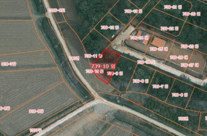 충청남도 당진시 고대면 장항리 739-10 임야 경매 사진 9