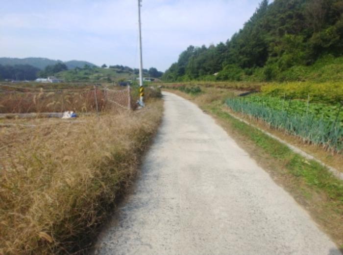 충청남도 금산군 부리면 관천리 214-7 전 경매 사진 7