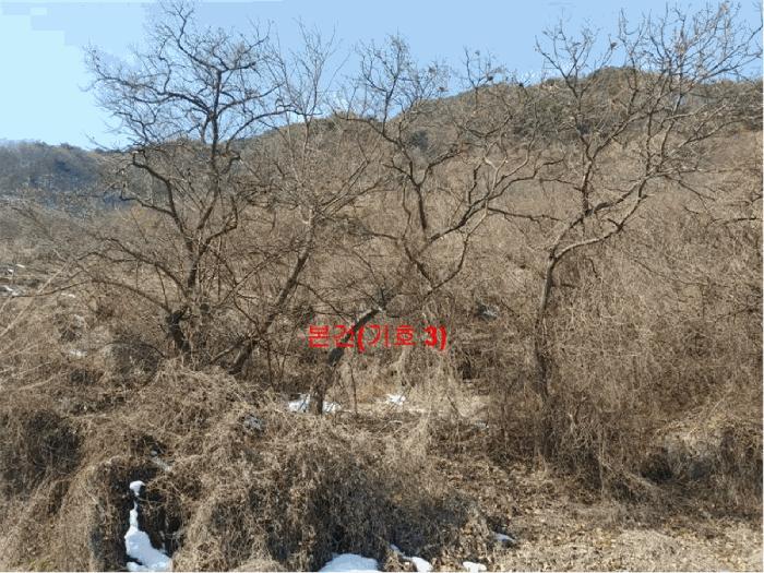 경상남도 함양군 함양읍 난평리 651 전 경매 사진 1