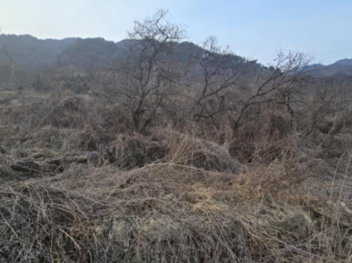경상남도 함양군 함양읍 난평리 651 전 경매 사진 12