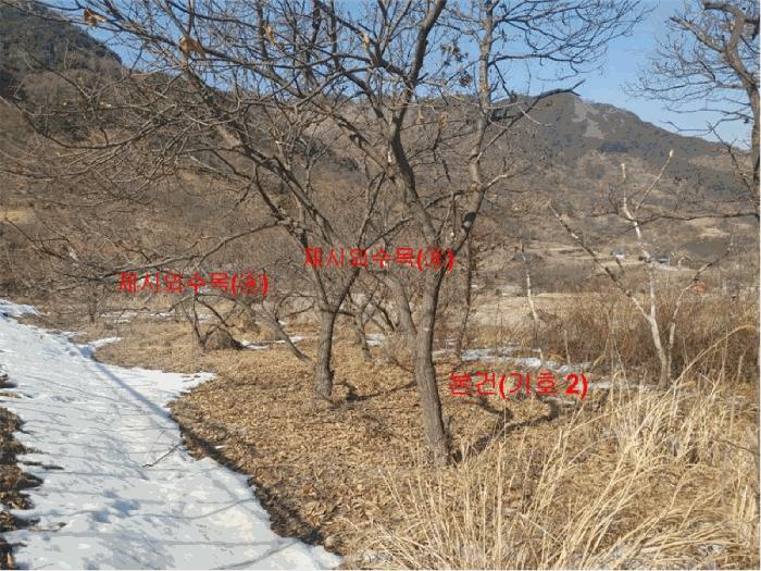 경상남도 함양군 함양읍 난평리 651 전 경매 사진 3