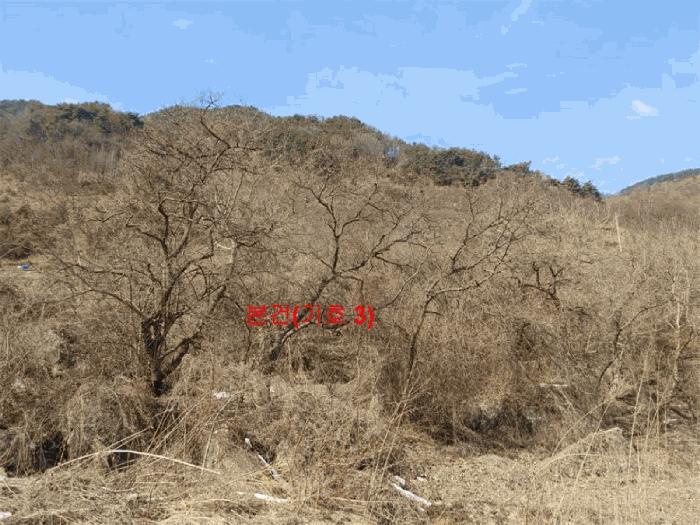 경상남도 함양군 함양읍 난평리 651 전 경매 사진 4