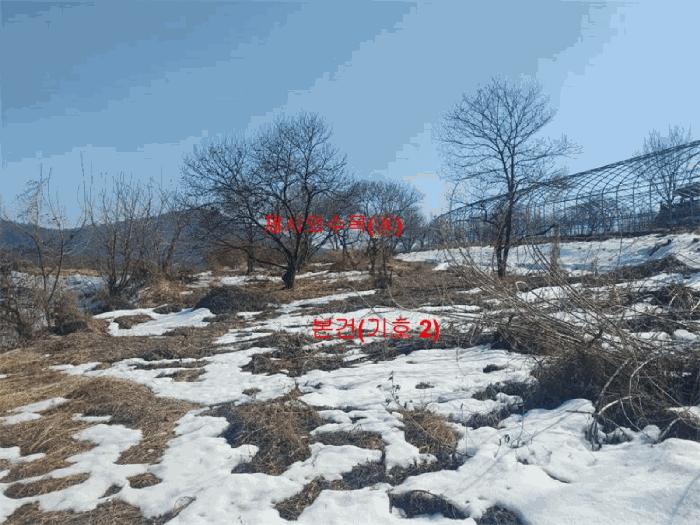 경상남도 함양군 함양읍 난평리 651 전 경매 사진 8