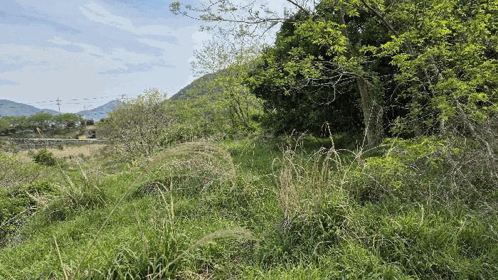 경상남도 거제시 일운면 지세포리 543 전 경매 사진 2