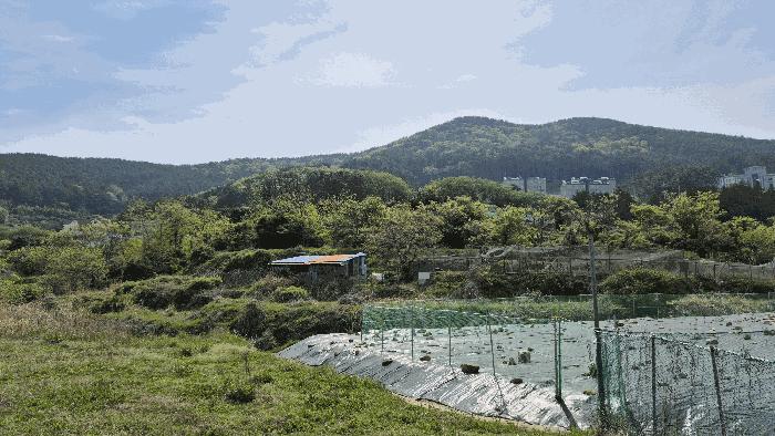 경상남도 거제시 일운면 지세포리 543 전 경매 사진 3