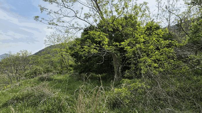경상남도 거제시 일운면 지세포리 543 전 경매 사진 5