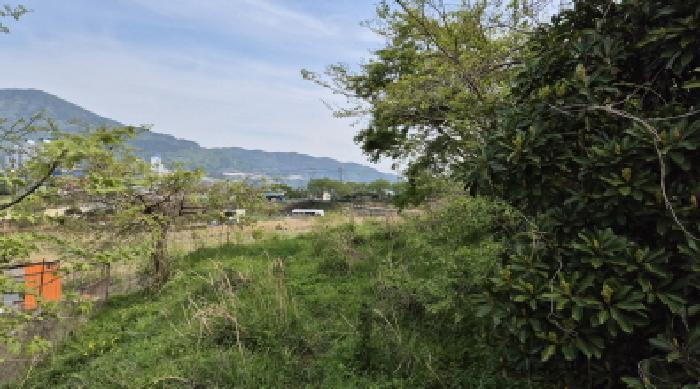 경상남도 거제시 일운면 지세포리 543 전 경매 사진 8