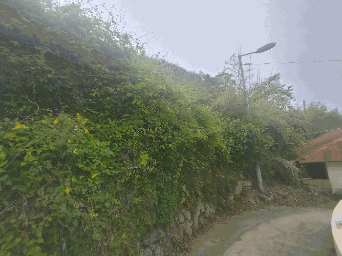 경상남도 거제시 거제면 내간리 240 대지 경매 사진 3