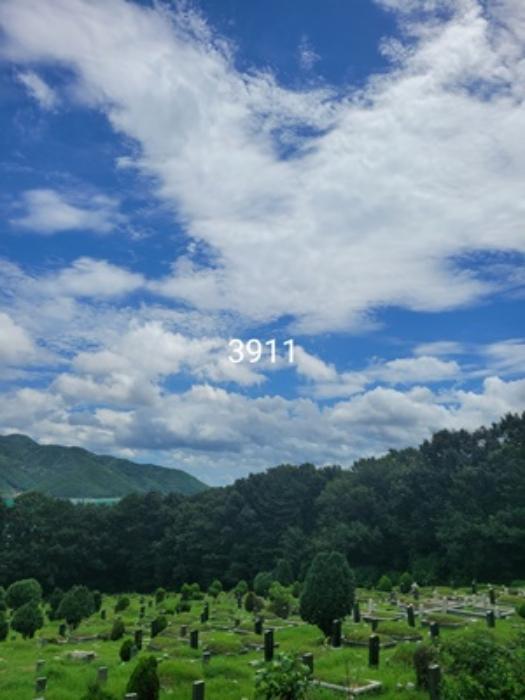 부산광역시 기장군 정관읍 용수리 산129-1 임야 경매 사진 6