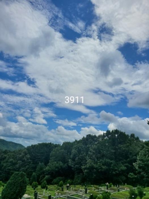 부산광역시 기장군 정관읍 용수리 산129-1 임야 경매 사진 7