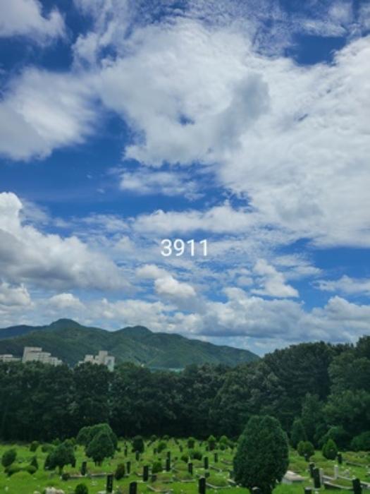 부산광역시 기장군 정관읍 용수리 산129-1 임야 경매 사진 8
