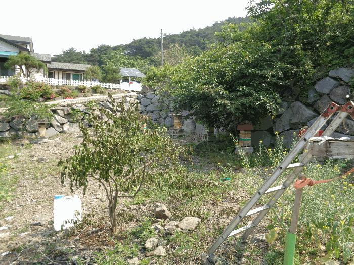 전라남도 화순군 동면 서성리 198-39 전 경매 사진 11