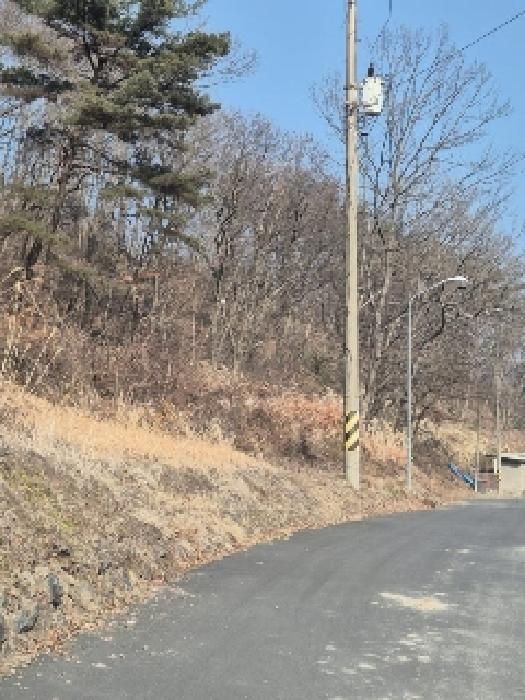 전라남도 화순군 동면 복암리 751-2 임야 경매 사진 1