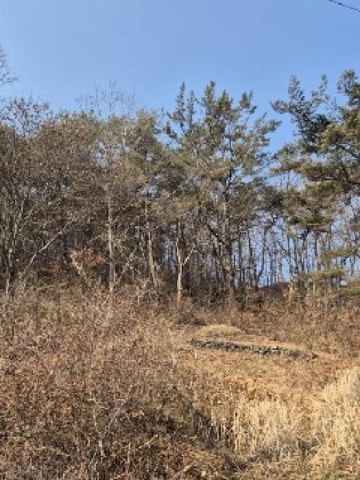 전라남도 화순군 동면 복암리 751-2 임야 경매 사진 4