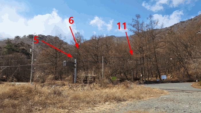 경상남도 양산시 평산동 산163-4 임야 경매 사진 20