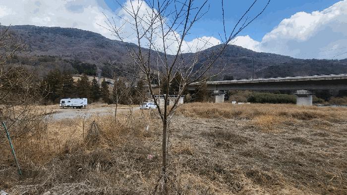 경상남도 양산시 평산동 산163-4 임야 경매 사진 23