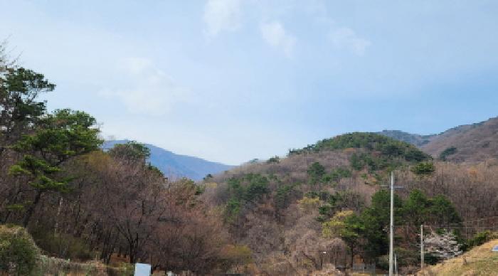 경상남도 양산시 평산동 산163-4 임야 경매 사진 28
