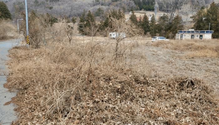 경상남도 양산시 평산동 산163-4 임야 경매 사진 3