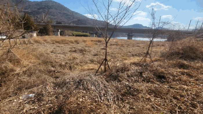 경상남도 양산시 평산동 산163-4 임야 경매 사진 5