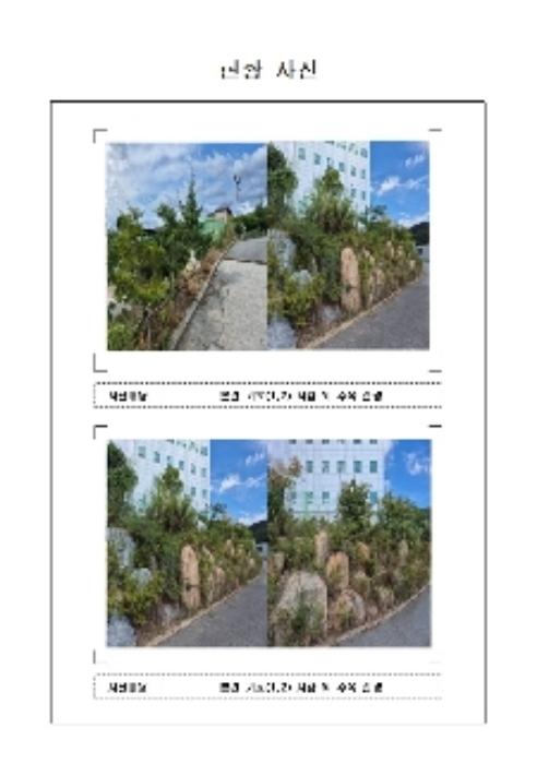전라남도 무안군 삼향읍 임성리 407-1 전 경매 사진 5