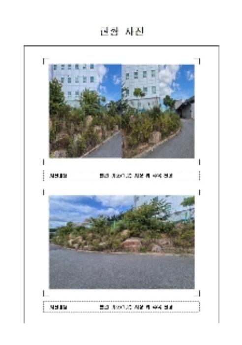 전라남도 무안군 삼향읍 임성리 407-1 전 경매 사진 6