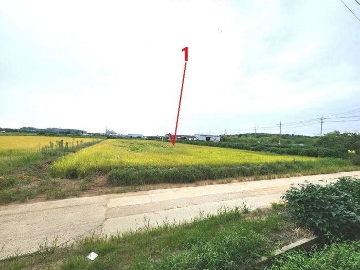 경기도 평택시 고덕면 좌교리 748-1 답 경매 사진 1