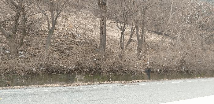 충청북도 영동군 학산면 봉소리 1364-2 전 경매 사진 3