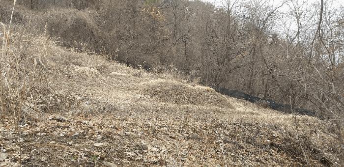 충청북도 영동군 학산면 봉소리 1364-2 전 경매 사진 4