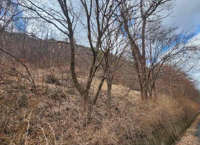 충청북도 영동군 학산면 봉소리 1364-2 전 경매 사진 5