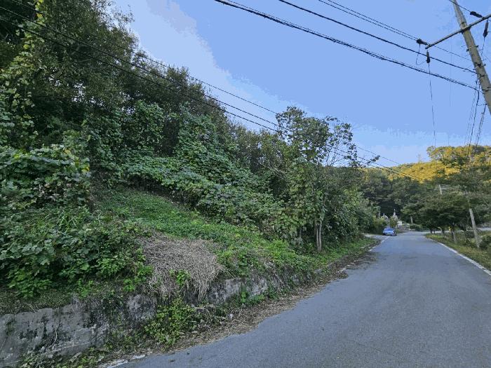 충청남도 공주시 계룡면 기산리 산109-3 임야 경매 사진 10