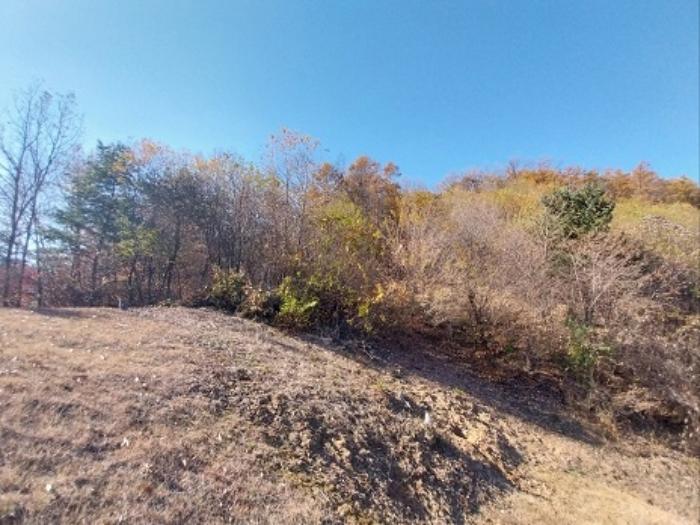 충청남도 공주시 계룡면 기산리 산109-3 임야 경매 사진 13