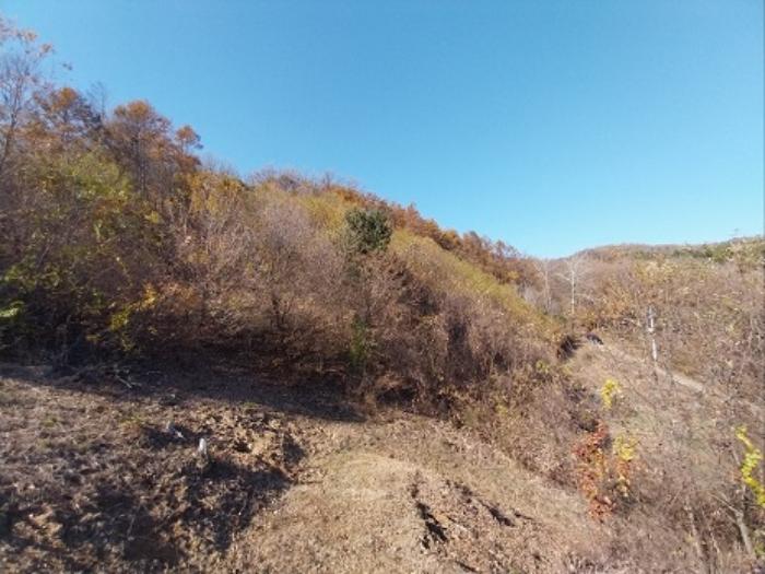 충청남도 공주시 계룡면 기산리 산109-3 임야 경매 사진 14