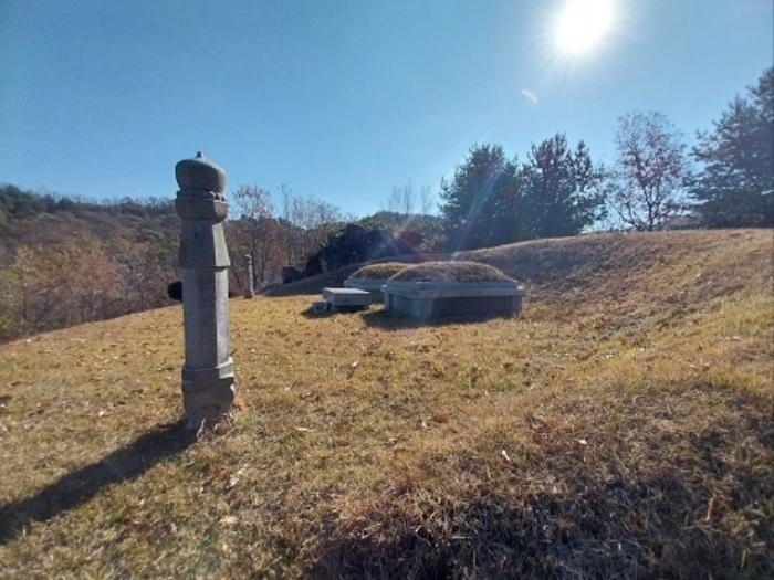 충청남도 공주시 계룡면 기산리 산109-3 임야 경매 사진 20