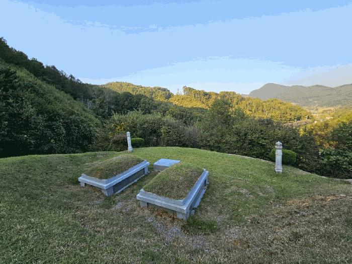충청남도 공주시 계룡면 기산리 산109-3 임야 경매 사진 6