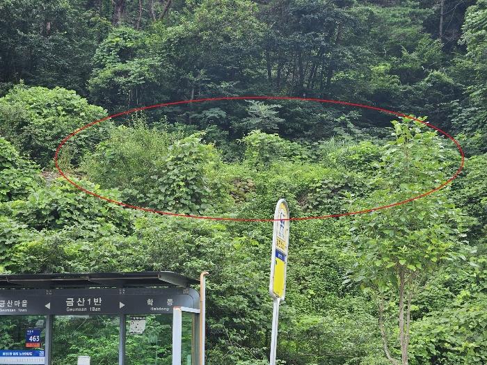 경상남도 창원시 마산합포구 진북면 영학리 41 전 경매 사진 3