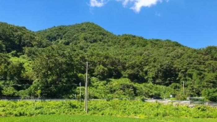 경상남도 창원시 마산합포구 진북면 영학리 41 전 경매 사진 6