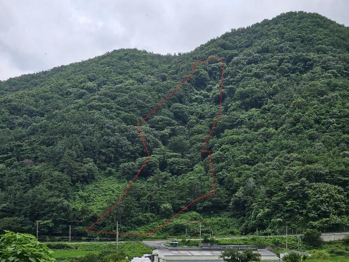경상남도 창원시 마산합포구 진북면 영학리 50 전 경매 사진 2