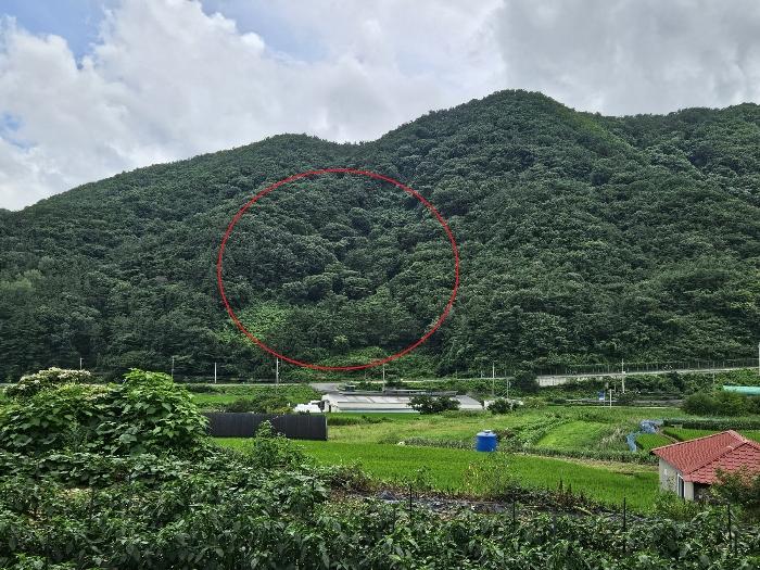 경상남도 창원시 마산합포구 진북면 영학리 50 전 경매 사진 4
