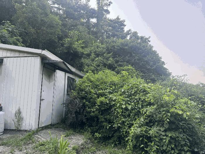 전라남도 함평군 나산면 수상리 산47 임야 경매 사진 3