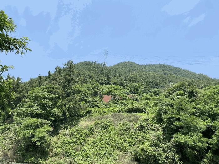 전라남도 무안군 삼향읍 용포리 산38-2 임야 경매 사진 10