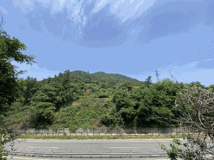 전라남도 무안군 삼향읍 용포리 산38-2 임야 경매 사진 7