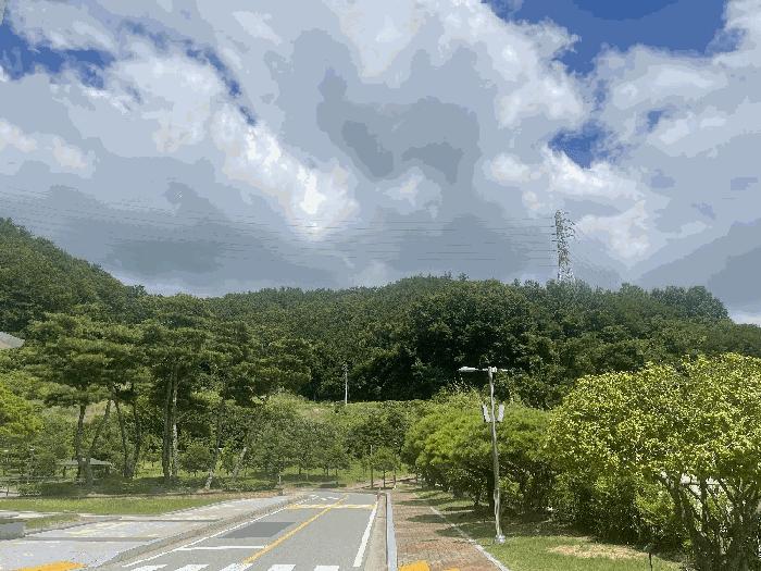 전라남도 무안군 삼향읍 남악리 288-10 임야 경매 사진 2