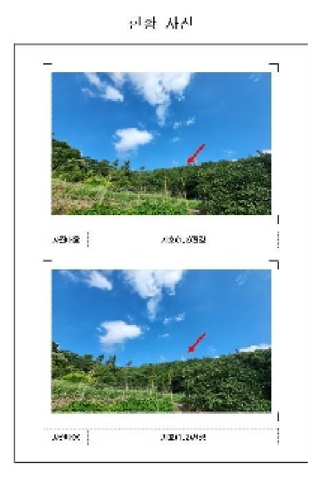 전라남도 무안군 삼향읍 남악리 288-10 임야 경매 사진 3